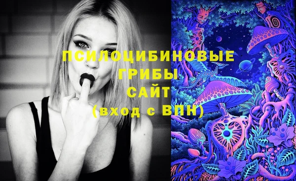 бошки Алексин