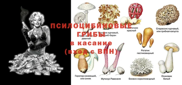 метамфетамин Алексеевка