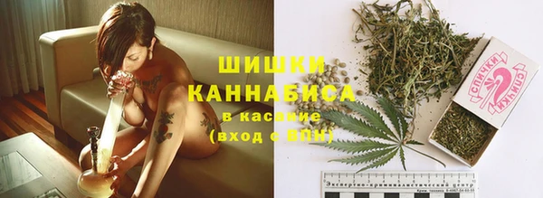 бошки Алексин
