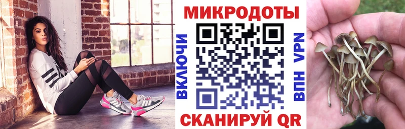 Галлюциногенные грибы MAGIC MUSHROOMS  Усть-Илимск 